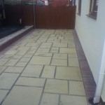 Patio Cleaned and Repointed